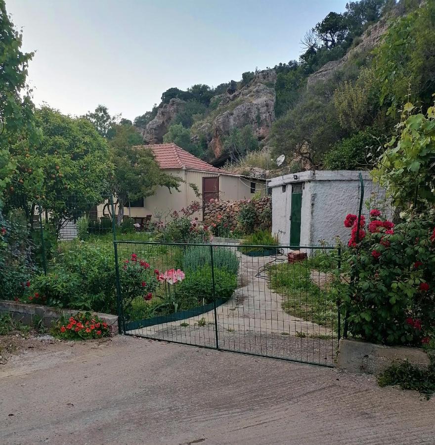 House Of Monachogios, Agios Fokas, Monemvassia Daire Monemvasía Dış mekan fotoğraf
