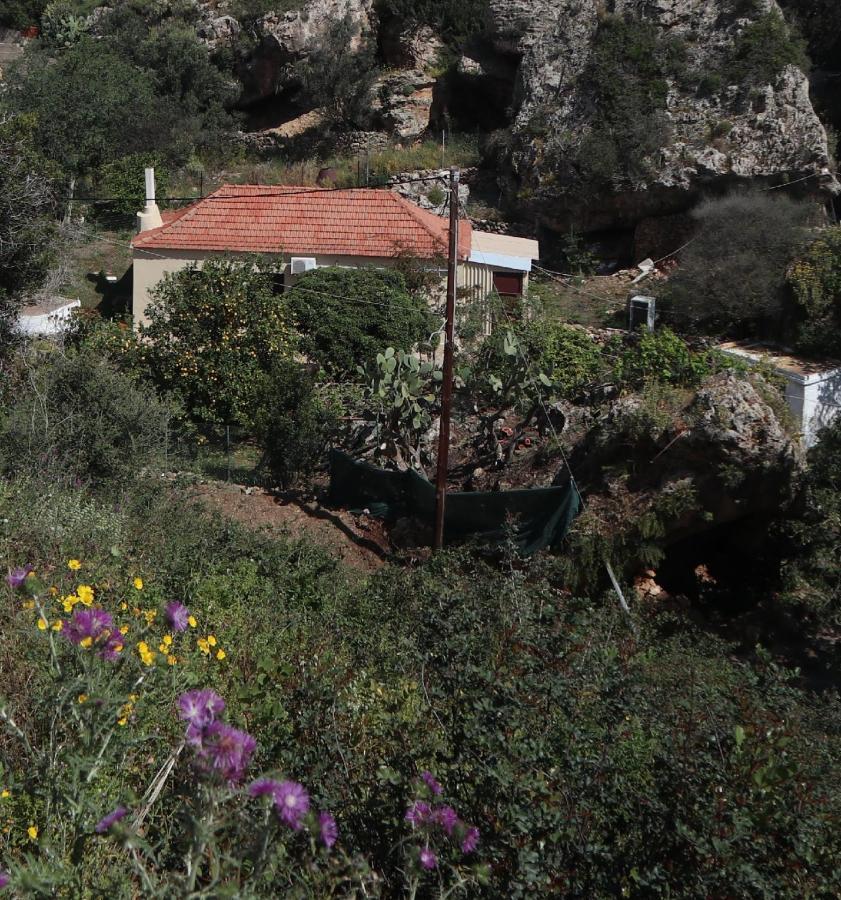 House Of Monachogios, Agios Fokas, Monemvassia Daire Monemvasía Dış mekan fotoğraf