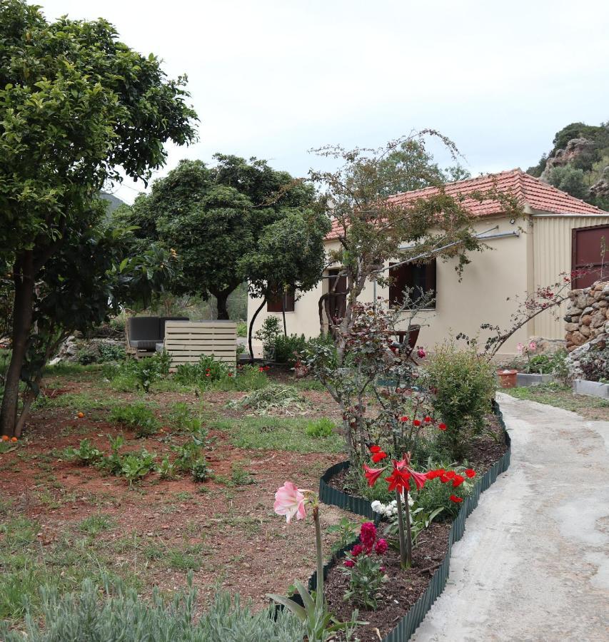 House Of Monachogios, Agios Fokas, Monemvassia Daire Monemvasía Dış mekan fotoğraf