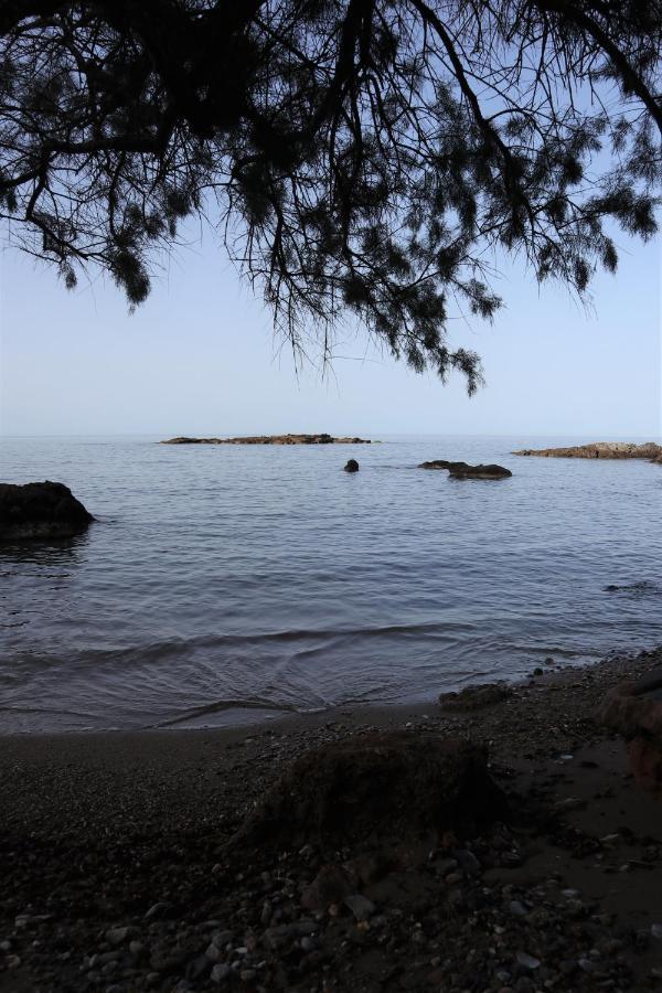 House Of Monachogios, Agios Fokas, Monemvassia Daire Monemvasía Dış mekan fotoğraf