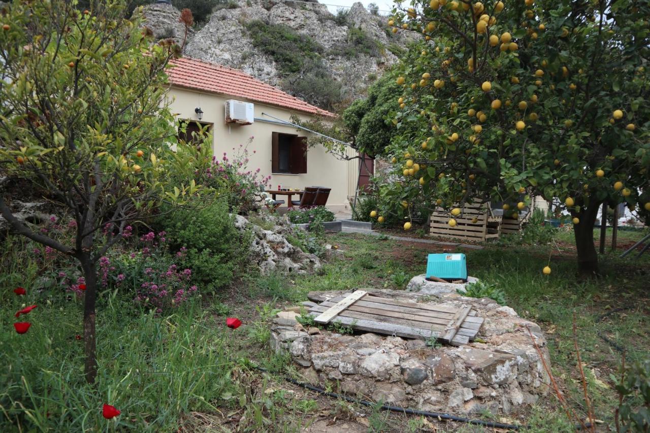 House Of Monachogios, Agios Fokas, Monemvassia Daire Monemvasía Dış mekan fotoğraf