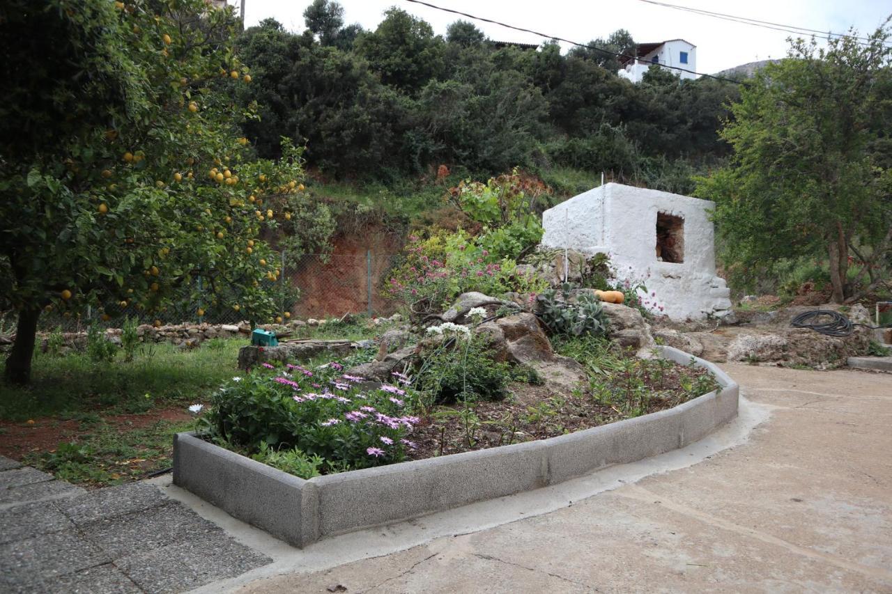 House Of Monachogios, Agios Fokas, Monemvassia Daire Monemvasía Dış mekan fotoğraf