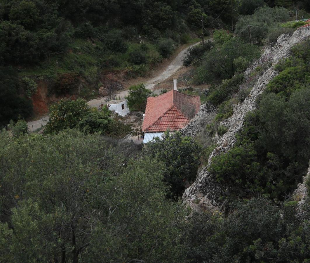 House Of Monachogios, Agios Fokas, Monemvassia Daire Monemvasía Dış mekan fotoğraf