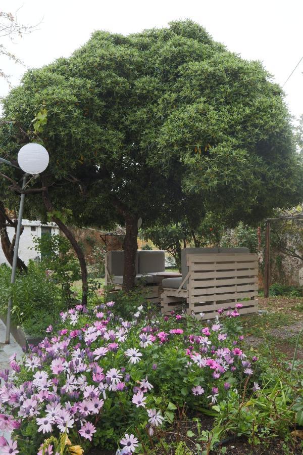 House Of Monachogios, Agios Fokas, Monemvassia Daire Monemvasía Dış mekan fotoğraf